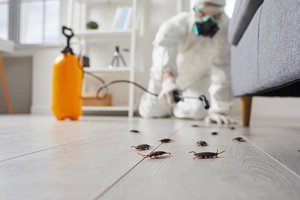 Commercial Kitchen Cockroach Control in Burgettstown